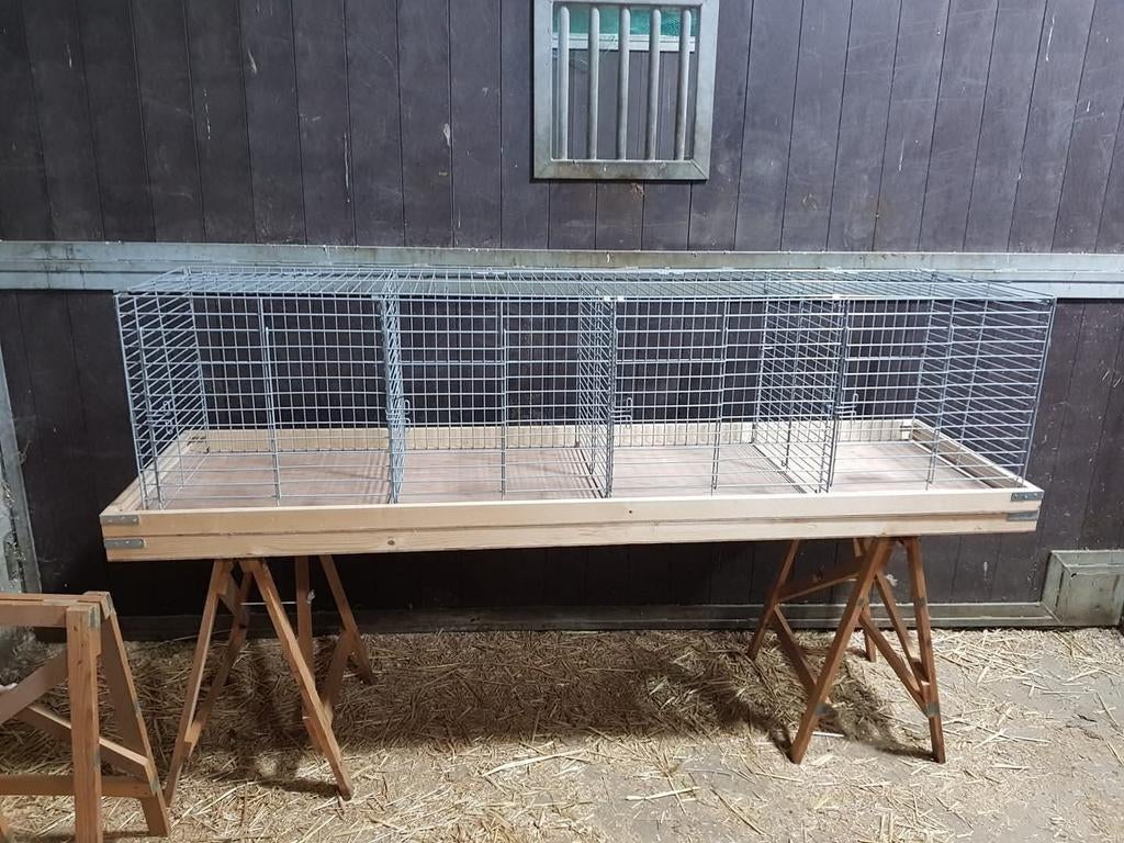 Gezocht tentoonstellingskooien, Dieren en Toebehoren, Pluimvee | Toebehoren, Ophalen of Verzenden