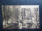DELDEN In het twikkelsche bosch    F, Verzamelen, Ansichtkaarten | Nederland, Ophalen of Verzenden, 1920 tot 1940, Overijssel