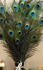 Pauwveren, Huis en Inrichting, Ophalen