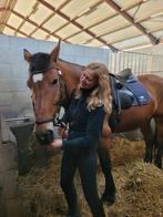 Bijrijder paard of E pony gezocht omgeving Tilburg, Dieren en Toebehoren, Ophalen, Nieuw