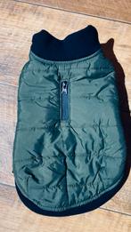 Groen jackje chihuahua, Ophalen of Verzenden