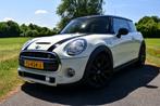 Mini Cooper S 2.0 Chili Serious Business | Pano-Leer-Carplay, Auto's, Mini, Voorwielaandrijving, 1998 cc, 4 stoelen, Wit