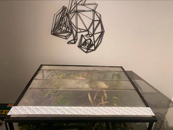 Terrarium te koop 60x50x120 BxDxH