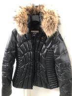 Blauer U.S.A. Zwarte getailleerde donsjas mt L, Maat 38/40 (M), Zwart, Blauer U.S.A., Ophalen of Verzenden