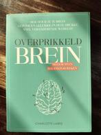 Charlotte Labee - Overprikkeld brein, Boeken, Ophalen of Verzenden, Zo goed als nieuw, Charlotte Labee