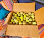 110 Tennisballen gebruikt, Ophalen of Verzenden, Gebruikt, Hondenballen