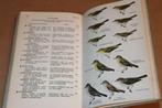 De Klassieke Peterson Vogelgids van Europa [1962], Boeken, Ophalen of Verzenden, Gelezen, Vogels