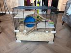 Hamster + kooi, Dieren en Toebehoren, Juni, Vrouwelijk, Hamster