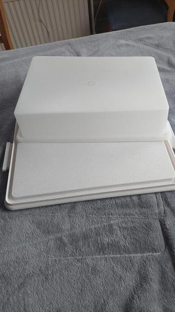 Tupperware Hapjesschaal met Deksel - Zo Goed Als Nieuw beschikbaar voor biedingen