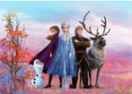 Frozen iconic premium fotobehang komar, Ophalen of Verzenden, Minder dan 10 m²