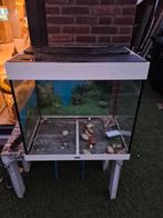 Mooie aquarium inclusief kast, Dieren en Toebehoren, Vissen | Aquaria en Toebehoren, Ophalen, Gebruikt, Leeg aquarium