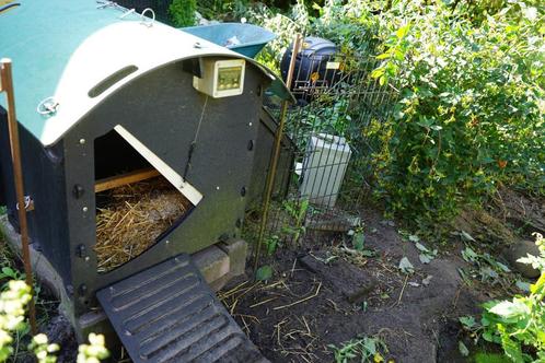 Kippenhok en kippenspullen, Dieren en Toebehoren, Pluimvee | Toebehoren, Gebruikt, Kippenhok of Kippenren, Ophalen