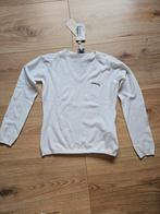 Trui Armani, maat 10. Nooit gedragen, Kinderen en Baby's, Kinderkleding | Maat 140, Ophalen of Verzenden, Nieuw, Armani, Trui of Vest