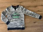 Stoere WE Fashion trui sweater Hawaii blauw wit maat 146 152, Trui of Vest, Ophalen of Verzenden, Zo goed als nieuw, Jongen