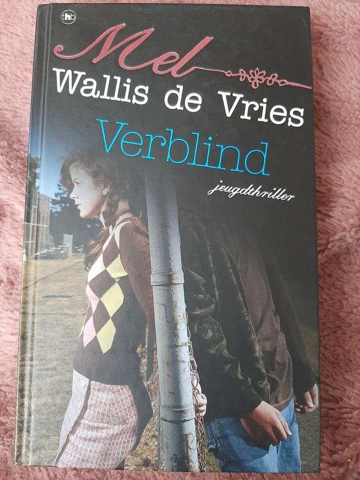 Mel Wallis de Vries - Verblind, Boeken, Kinderboeken | Jeugd | 13 jaar en ouder, Zo goed als nieuw, Ophalen of Verzenden