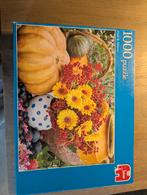 Jumbo puzzel 1000 stukjes, Ophalen, 500 t/m 1500 stukjes, Gebruikt