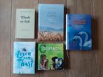 Diverse christelijke dagboeken, Ophalen of Verzenden, Zo goed als nieuw
