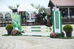 Van bixie tot het hogere werk, talentvolle b spring pony!, Dieren en Toebehoren, Pony's, Gechipt, Ruin, L, 7 tot 10 jaar