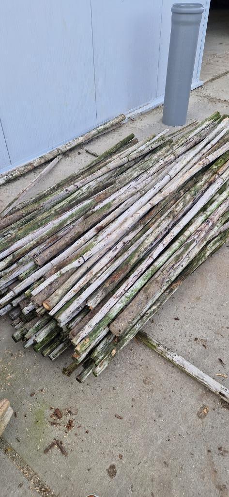Te koop 2m Boompalen / Weidepalen / Fruitpalen, Tuin en Terras, Palen, Balken en Planken, Zo goed als nieuw, Palen, Ophalen of Verzenden