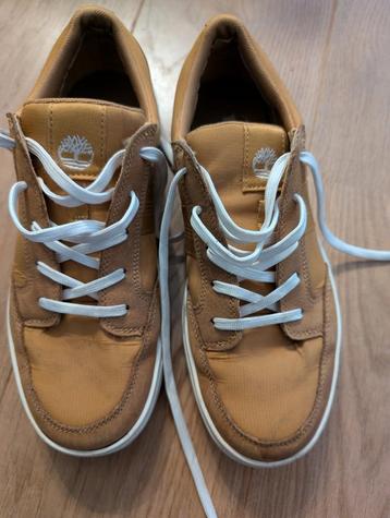 Timberland schoen maat 40 beschikbaar voor biedingen