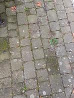 Tuinbestrating, stenen, koppelstenen, Ophalen, Gebruikt, Klinkers, 10 m² of meer