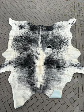 Koeienhuid/kleed Van Buren Bolsward BV beschikbaar voor biedingen