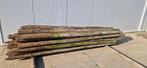 Te koop 3m Boompalen / Weidepalen, Tuin en Terras, Palen, Balken en Planken, Ophalen, Zo goed als nieuw, 250 cm of meer, Palen