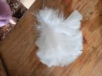 Witte Pluim voor op Pet - Nieuw, Ophalen of Verzenden, Nieuw, One size fits all, Pet