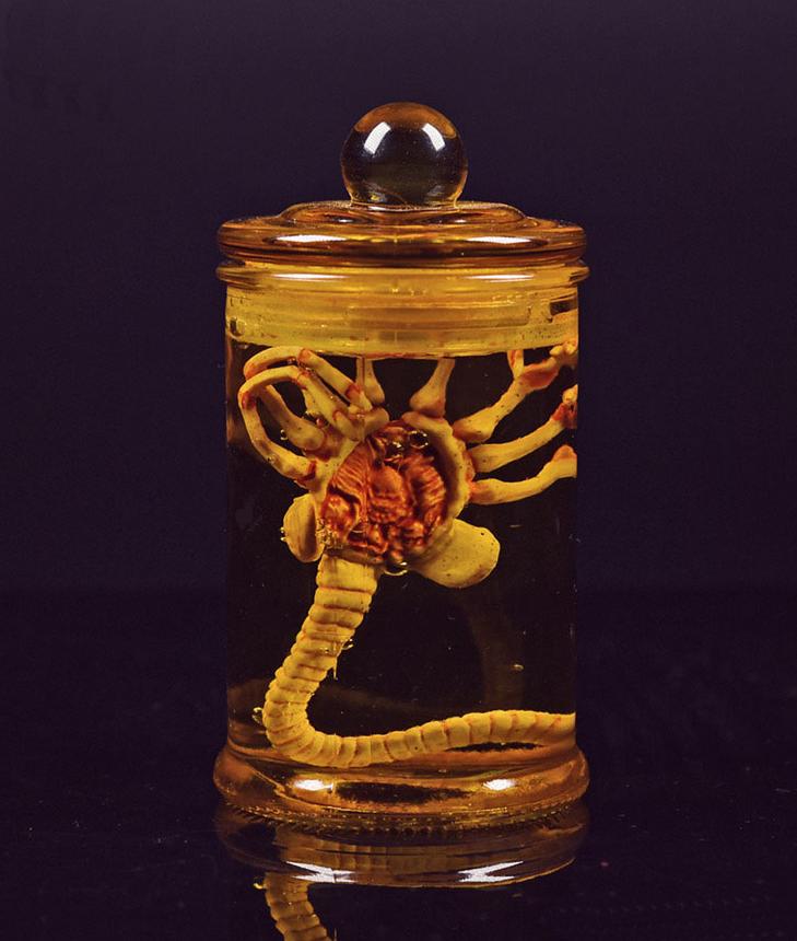 Alien Facehugger / Larve Sterk Water Film Movie Prop, Verzamelen, Verzenden, Nieuw, Film, Beeldje, Replica of Model