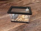 Blythe hamsterkooi 1: 6, Ophalen of Verzenden, Zo goed als nieuw, Kleertjes
