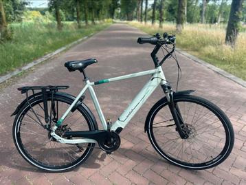 Elektrische Amslod Denton F-LV | Met garantie beschikbaar voor biedingen