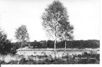 Mooi Chaam   Langven, Verzamelen, Ansichtkaarten | Nederland, Ophalen of Verzenden, 1960 tot 1980, Ongelopen, Noord-Brabant