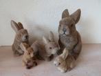 5 konijntjes haasjes flock paashaasjes familie samen, Ophalen of Verzenden