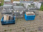 Vogelkooien van Sukses, Dieren en Toebehoren, Ophalen, Gebruikt, Overige materialen, Vogelkooi
