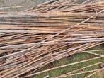 GRATIS bos bamboe stokken moestuin, Tuin en Terras, Ophalen, Bloeit niet, Overige soorten, Halfschaduw