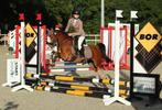 Mega knappe welsh !, Dieren en Toebehoren, Pony's