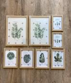 Set gloednieuwe fotolijsten, Minder dan 50 cm, Nieuw, Ophalen of Verzenden, Minder dan 50 cm