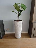 Grote bloempot / vaas Lava stripe hoogte 90 cm, Tuin en Terras, Bloempotten, Rond, Ophalen of Verzenden, Aardewerk, Minder dan 40 cm