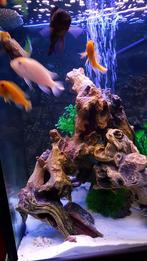 Kunststof decoratie takken stronken rots voor aquarium, Dieren en Toebehoren, Vissen | Aquaria en Toebehoren, Ophalen, Sierelement