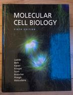 Studieboek Molecular Cell Biology - Lodish et al., Ophalen of Verzenden, Zo goed als nieuw, HBO, Lodish et al.