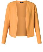 Orange vest Julia van Yesta Maat 48 nu €19,95, Maat 46/48 (XL) of groter, Oranje, Ophalen of Verzenden, Y