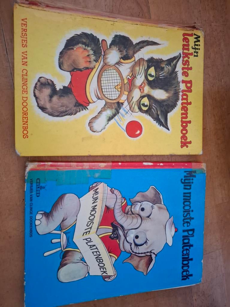 2x Mijn mooiste platenboek, Ophalen of Verzenden, Gelezen