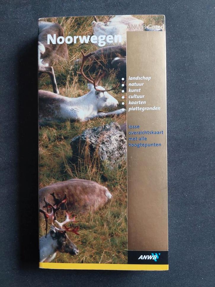 H. Hoogendoorn - Noorwegen, Boeken, Reisgidsen, Zo goed als nieuw, Europa, ANWB, Ophalen of Verzenden