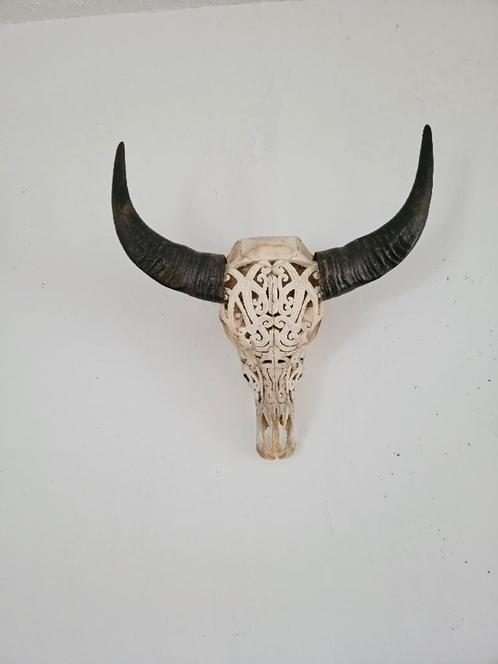 Zeer mooie skull! Buffel schedel, Huis en Inrichting, Woonaccessoires | Overige, Zo goed als nieuw, Ophalen of Verzenden