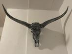 Longhorn Buffelschedel 1 meter breed, Ophalen, Zo goed als nieuw