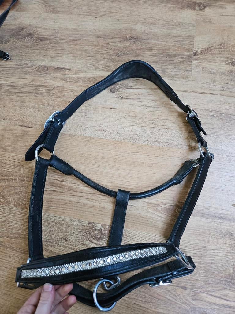 Lederen halster maat full met Glitter, Ophalen of Verzenden, Gebruikt, Overige soorten