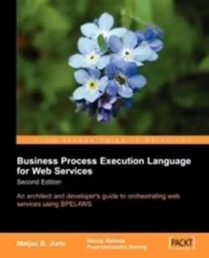 Business Process Execution Language for Web Services, Boeken, Informatica en Computer, Zo goed als nieuw, Internet of Webdesign