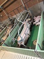 Vereijken kraamhokken [748], Boekhorst Trading, Info@boekhorsttrading.com, Singel 16, Horssen