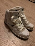 Nike Celtics maat 41 nieuw, Wit, Nike, Nieuw, Ophalen of Verzenden