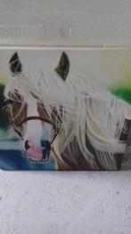 Paardenhoofd, Ophalen of Verzenden